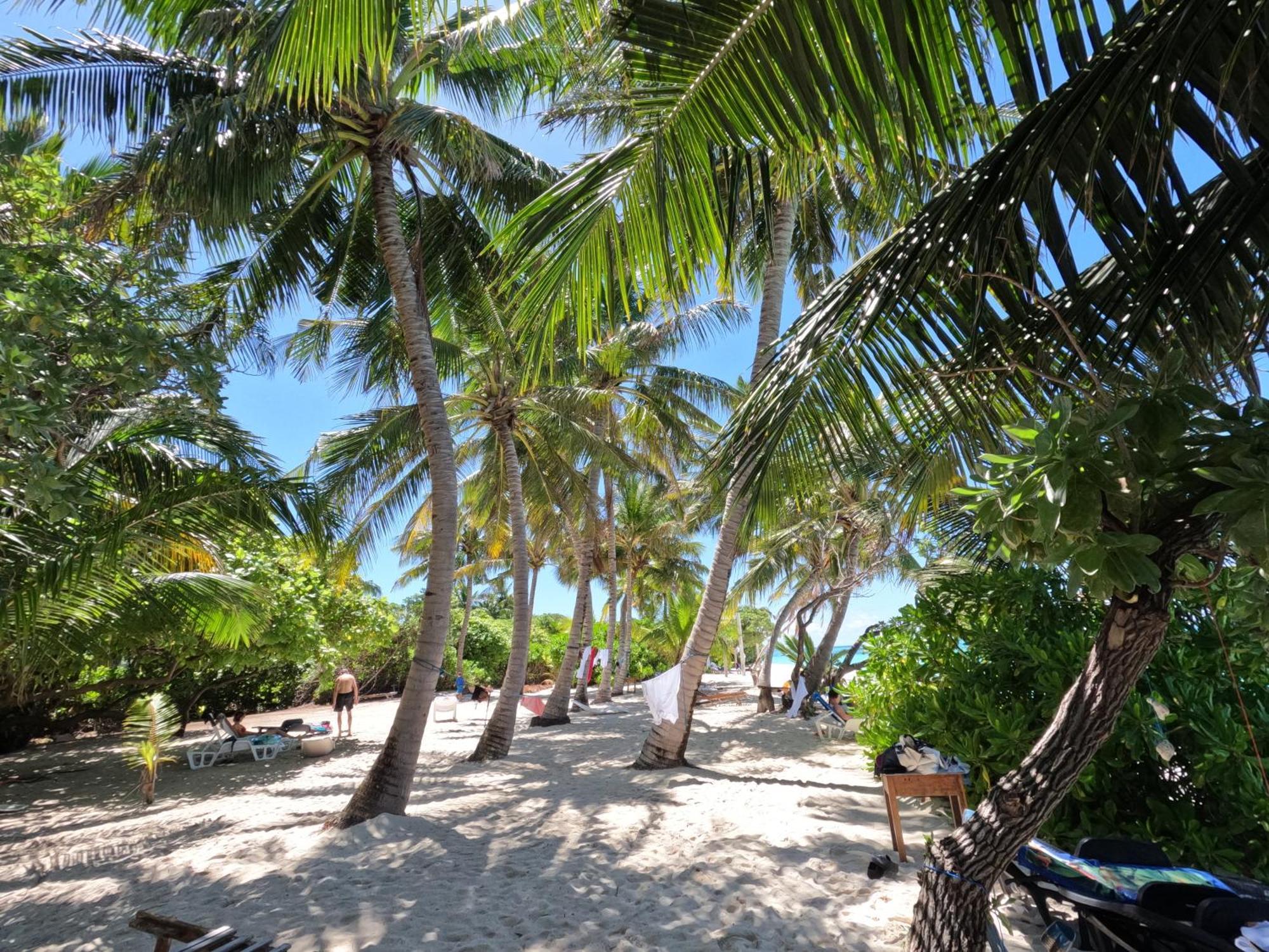Blue Water Thoddoo Inn Rum bild